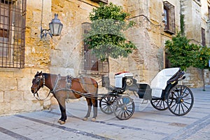 Traditional Horse and Cart