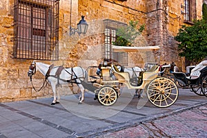 Traditional Horse and Cart at Cordoba Spain photo