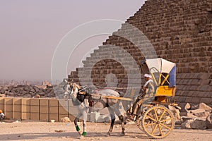 Traditional Horse Chart Pyramids of Giza Cairo Egypt and Sphinx at sunset