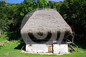 Traditional house in Apuseni Mountains.