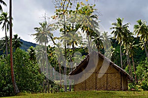 Traditional house in Pentecost Island, Vanuatu