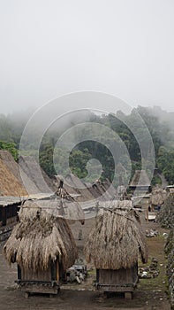 Traditional Houses