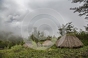 Traditional houses in Baliem Valley