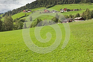 Traditional houses in a cloudy mornig surrounded by green pasture next to the little town of St. Magdalena in Val di Funes, no pe photo