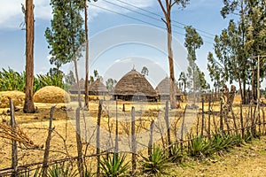 Traditional houses in Ethiopia, Africa