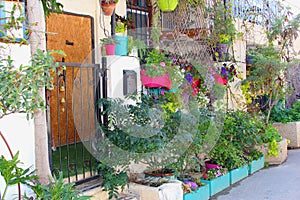 Traditional houses garden plants flowers, Neve Tzedek, Tel Aviv