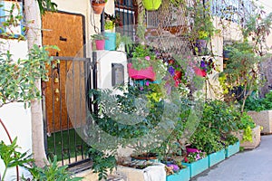 Traditional houses garden plants flowers, Neve Tzedek, Tel Aviv photo