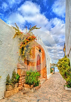 Traditional houses in Medina of Hammamet, Tunisia photo