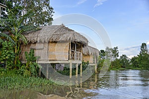 Traditional houses on Mekong river, Vietnam