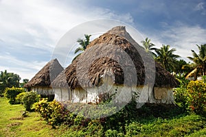 Traditional houses of Navala village, Viti Levu, Fiji photo