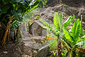 Traditional houses in Paul Valley, Santo Antao island, Cape Verde photo