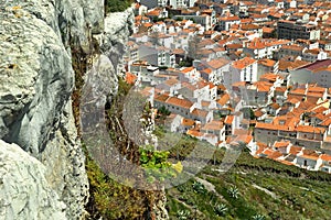 Nazare city view from the Sitio  upper town photo