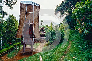 Traditional houses in tanah Toraja, Sulawesi, Indonesien