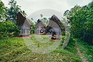 Traditional houses in tanah Toraja, Sulawesi, Indonesien