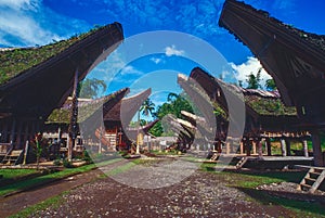 Traditional houses in tanah Toraja, Sulawesi, Indonesien