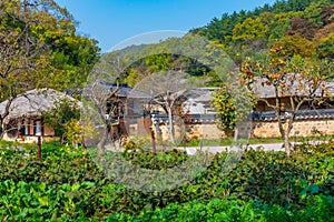 Traditional houses at Yangdong folk village in the Republic of Korea