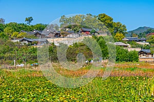 Traditional houses at Yangdong folk village in the Republic of Korea