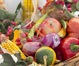 Traditional Hungarian vegetables