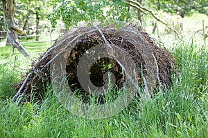 Traditional hut at Estancia Harberton in Tierra del Fuego, Patagonia, Argentina photo