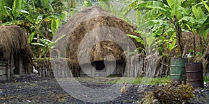 Traditional hut of dani people in traditional village