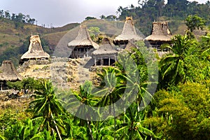 Traditional hut of img