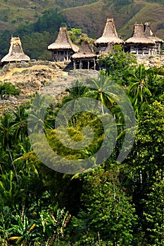 Traditional hut of inhabitant in sumba island