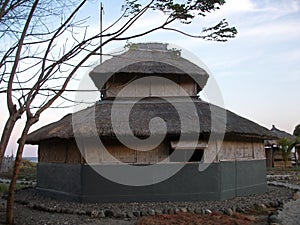 Traditional hut of Timor-Leste photo