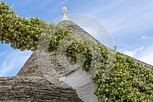 Traditional huts with a conical roof in Italy