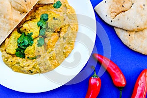 Traditional Indian Chicken Korma Curry Meal