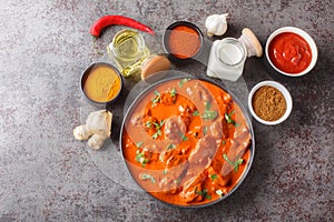 Traditional Indian dish Chicken tikka masala with spicy curry meat in bowl closeup. Horizontal top view