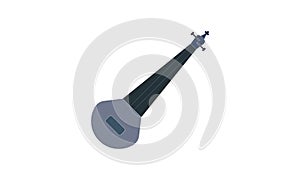 Traditional Indian sarod icon flat style vector image photo