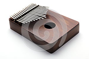 Traditional instrument