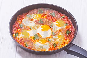 Traditional Israel food Shakshuka