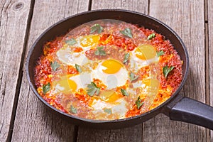 Traditional Israel food Shakshuka