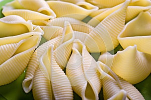 Traditional Italian conchiglioni rigati pasta