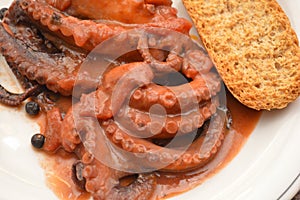 Traditional italian dish octopus luciana with tomato photo