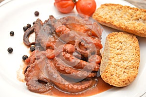 Traditional italian dish octopus luciana with tomato photo