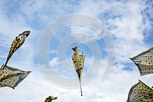 Traditional italian festival with flag throwers.Flags on the blu photo