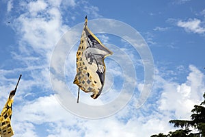 Traditional italian festival with flag throwers.Flags on the blu photo