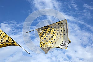 Traditional italian festival with flag throwers.Flags on the blu photo