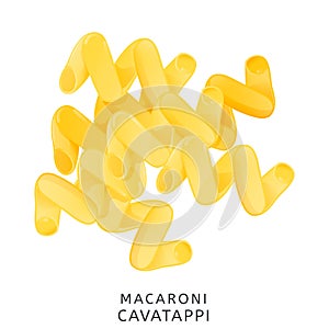 Traditional italian kitchen. Macaroni cavatappi, pasta. Icon isolated on white background.