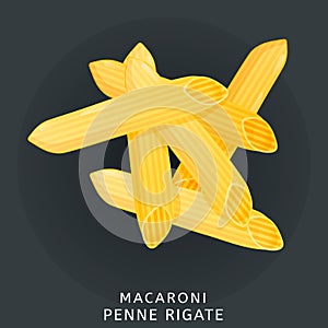 Traditional italian kitchen. Macaroni penne rigatte, pasta. Icon on dark background. Vector illustration