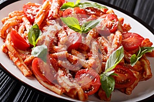 Traditional Italian pasta Casarecce with tomato sauce, parmesan cheese and basil closeup on a plate. horizontal