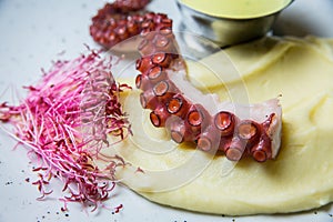 Traditional Italian polpo alla griglia su crema di patate with barbecued octopus, potato creme and chili as closeup photo