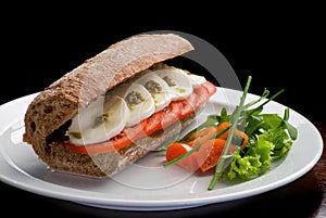 Traditional Italian sandwich with mozzarella, fresh tomatoes and pesto on a white plate