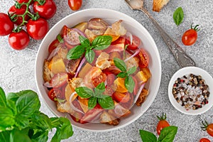 Traditional italian tomato salad panzanella with red onion, fresh basil and croutons in a bowl. Summer salad