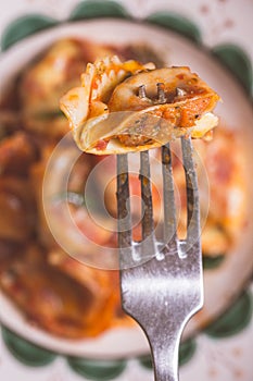 Tortellini with Tomato Sauce, Mozzarella Cheese and Basil