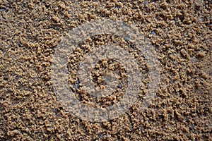 Traditional jaggery powder