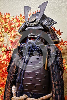 Traditional Japanese Armor with Maple Leaves Background