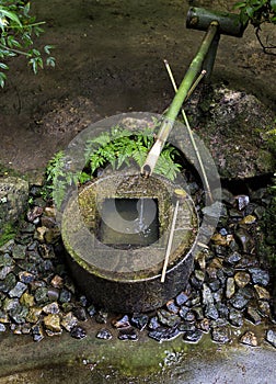 Traditional japanese bamboo fountain Ryoan-ji Kyoto